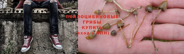 кокс Арсеньев