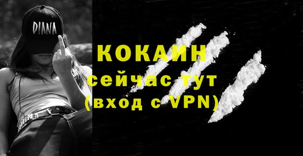 кокс Арсеньев