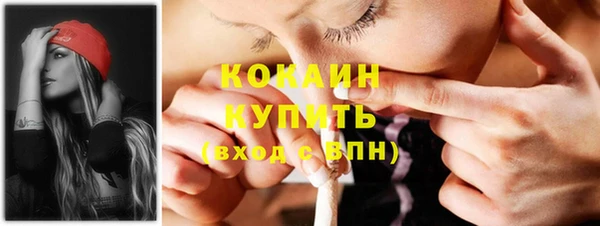 кокс Арсеньев