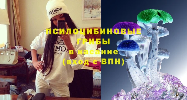 гидра Армянск