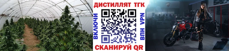 магазин  наркотиков  Мытищи  ТГК THC oil 