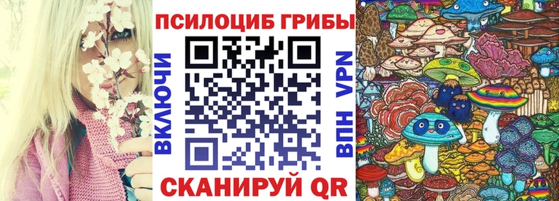 Псилоцибиновые грибы GOLDEN TEACHER  Мытищи 